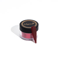 Merry & Bright Collection - Poinsettia