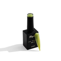 Summer Muse Collection