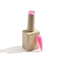 Atelier Collection - Pink Atelier