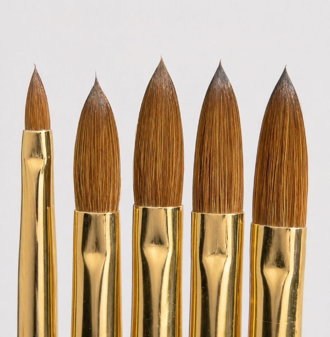 Gold Crimped Kolinsky Brushes